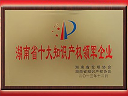 熱烈慶?！跋嫣逗阈馈北辉u為“首屆湖南省十大知識產(chǎn)權(quán)領(lǐng)軍企業(yè)”